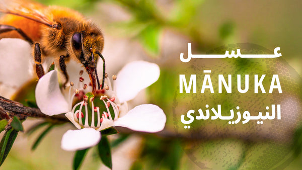عسل ثري بيز قطر